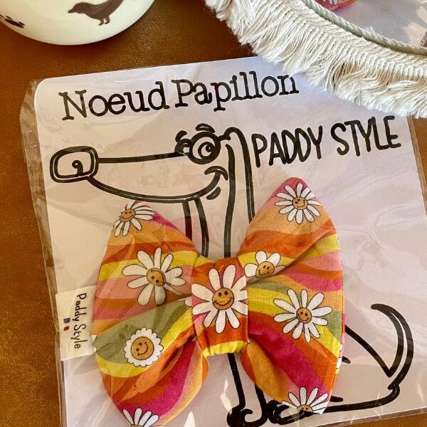 Noeud papillon pour chien qui s'enfile dans le collier