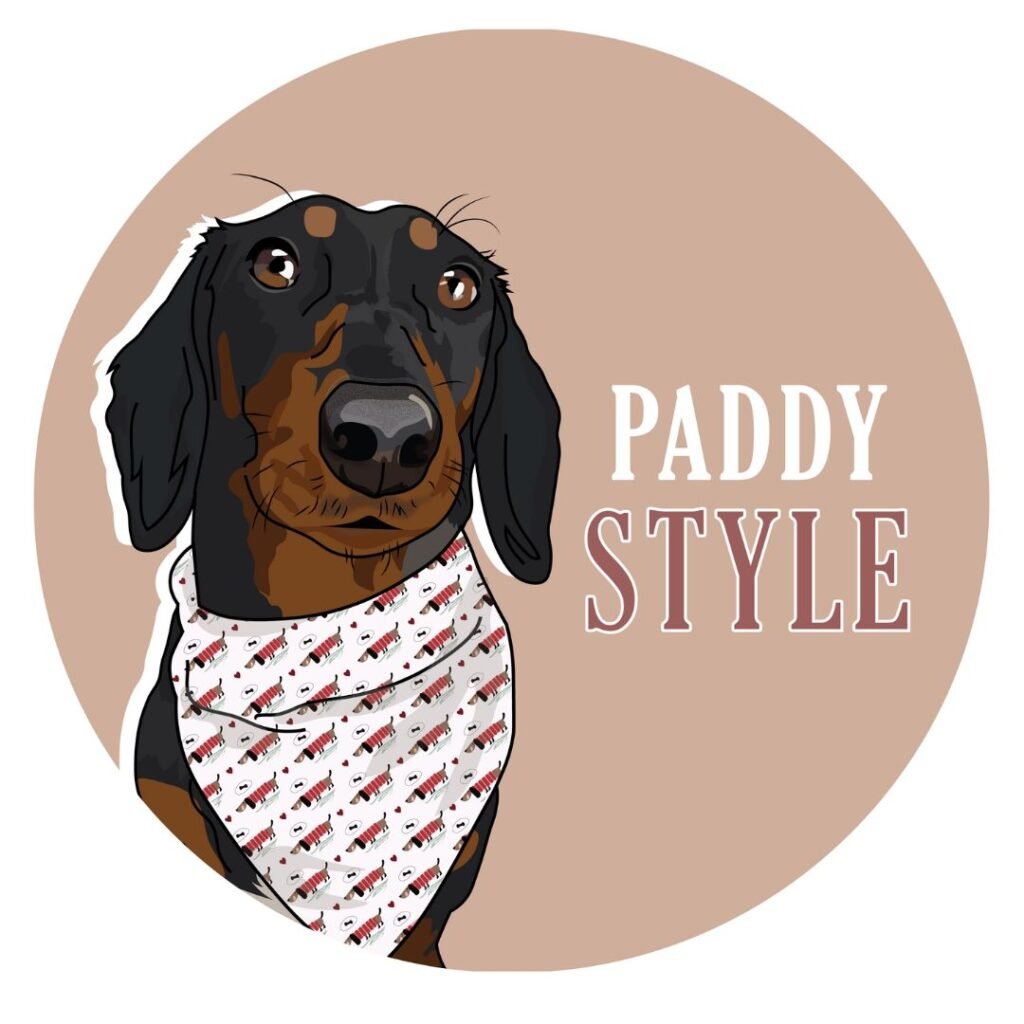 Logo Paddy Style