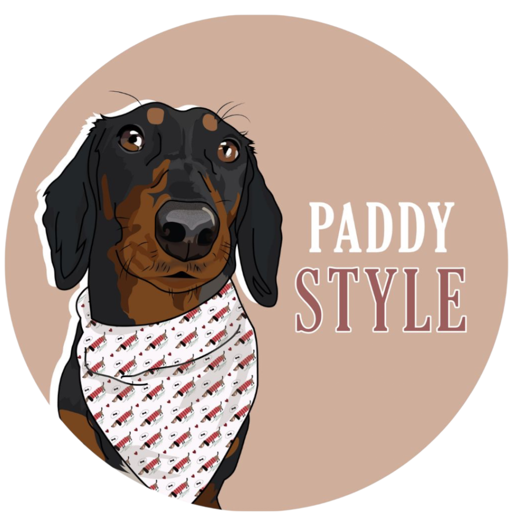 Accessoires pour chien, fait mains, friandises naturelles pour chiens, jouet et produits de soins