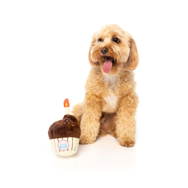 Jouet pour chien en forme de gâteau d'anniversaire