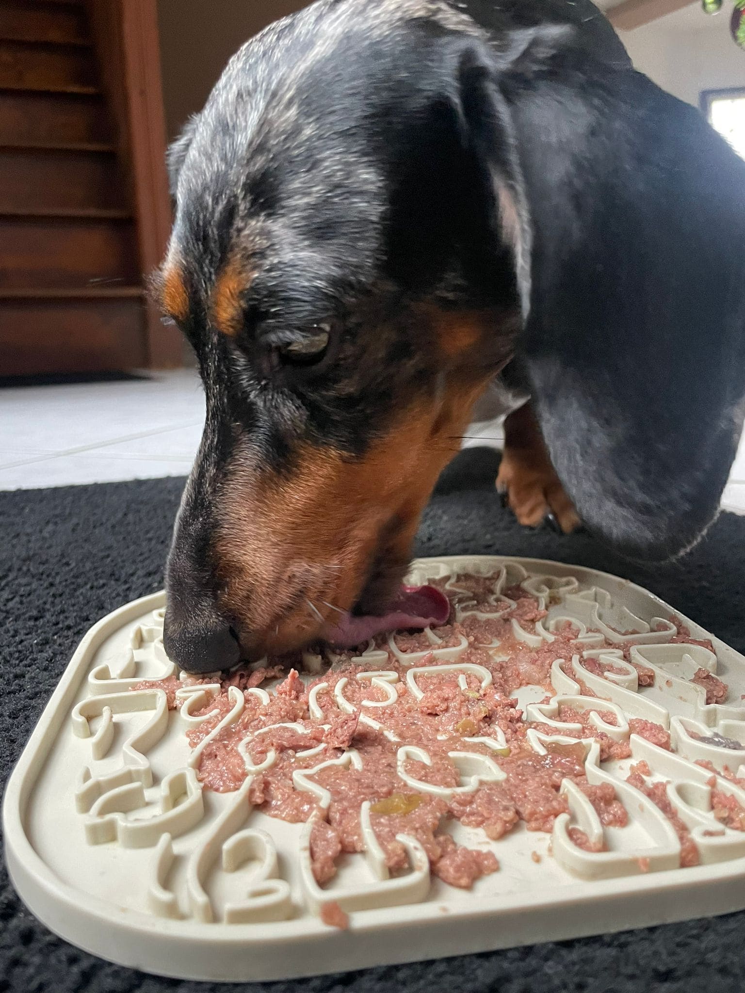 tapis de léchage, accessoire pour chiens et chats