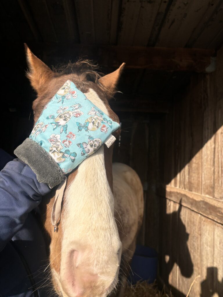 Accessoire pour chevaux, gant de soin pour animaux chevaux chat chiens