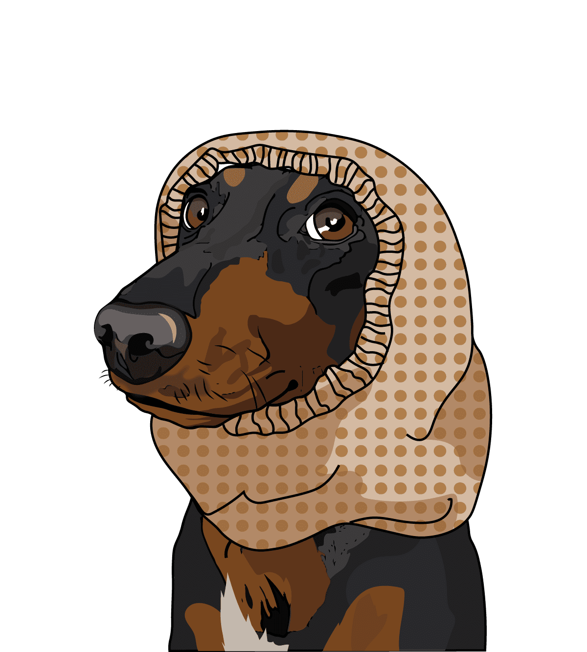 Snood pour chien. Cache-oreilles pour chien à grandes oreilles