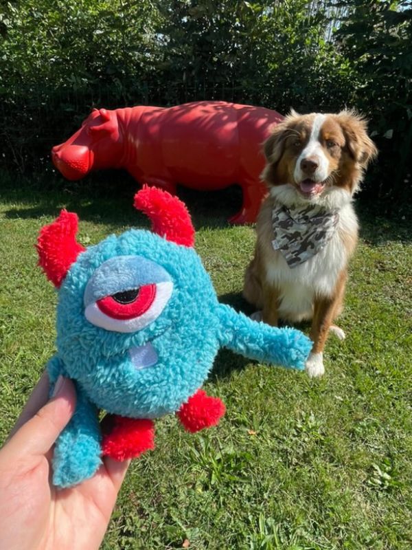 Jouet pour chien. Peluche pour chien avec pouic pouic