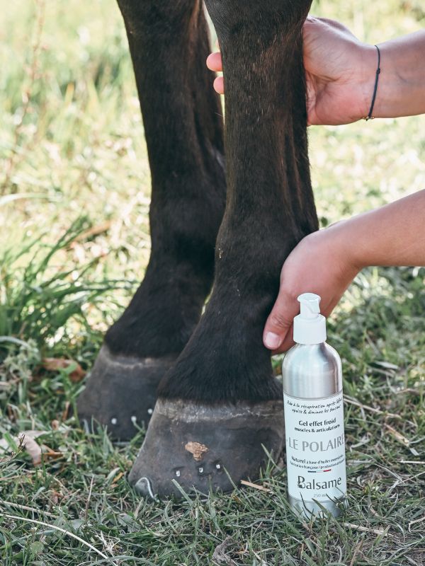 Produit de soin pour chevaux