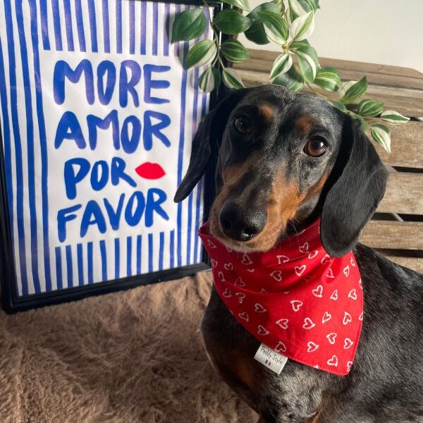 Bandana pour chien saint valentin