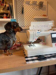 paddy style accessoires pour chiens chats chevaux