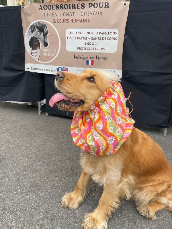 Snood pour chiens, cocker à grand oreille, protection oreilles