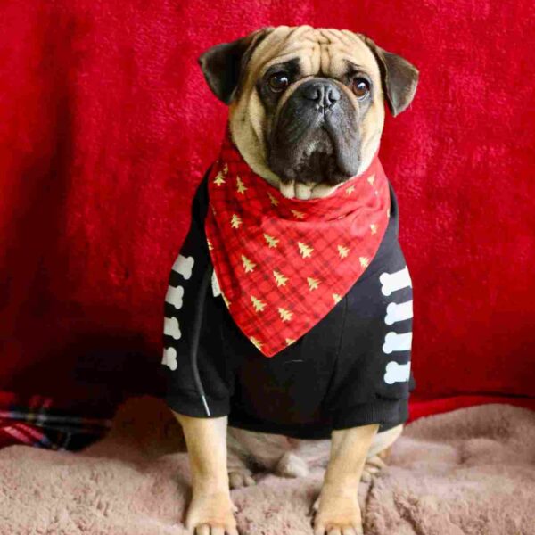 Bandana de Noël pour chien - Rouge Tartan Sapin